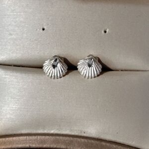 Shell Motif Stud Earrings in Shiny Silver Tone